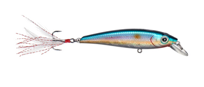 Bassmooch Bray Z Suspended Jerk Bait