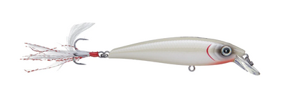 Bassmooch Bray Z Suspended Jerk Bait