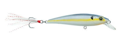 Bassmooch Bray Z Suspended Jerk Bait