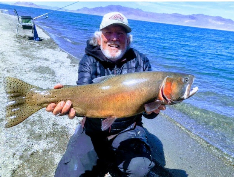 Giro J25 Girofish
