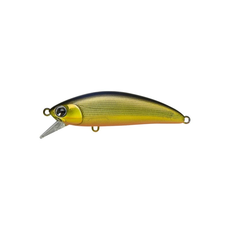 Ima Sukari 50SS