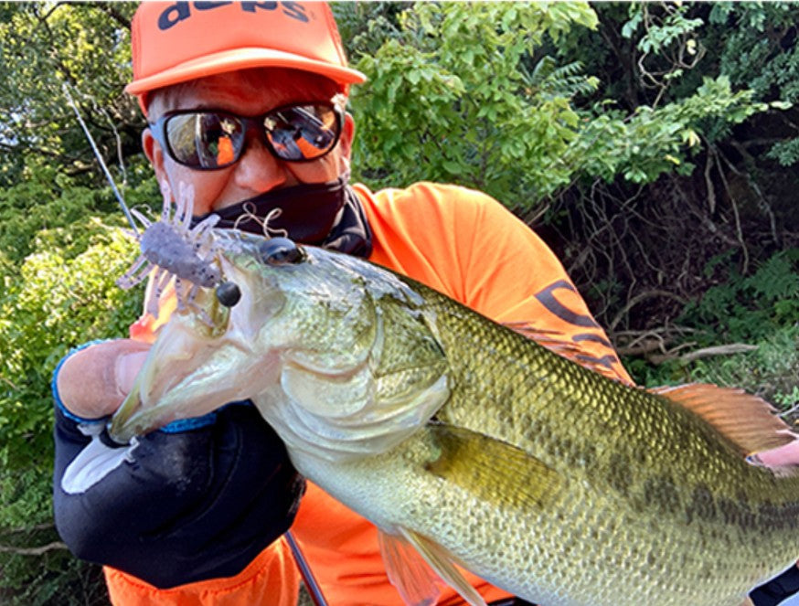 Deps 1.2" Wigglebug