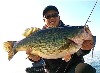 Hideup Judy Fish 5.2"
