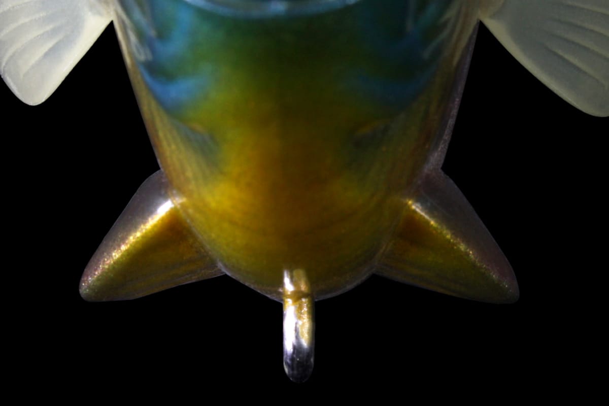 Deps Bullshooter 160 - #15 Scum Perch Slow Sinking