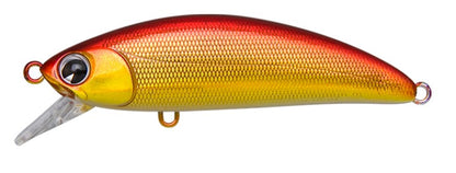 Ima Sukari 50SS