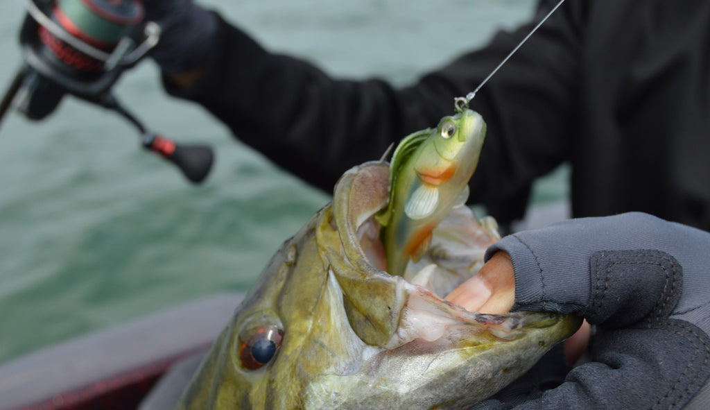 Megabass DARK SLEEPER DARK SHAD 3.8" 1oz